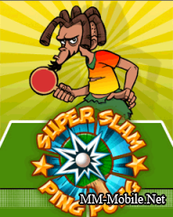Super Slam Ping Pong