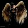 Archangelll