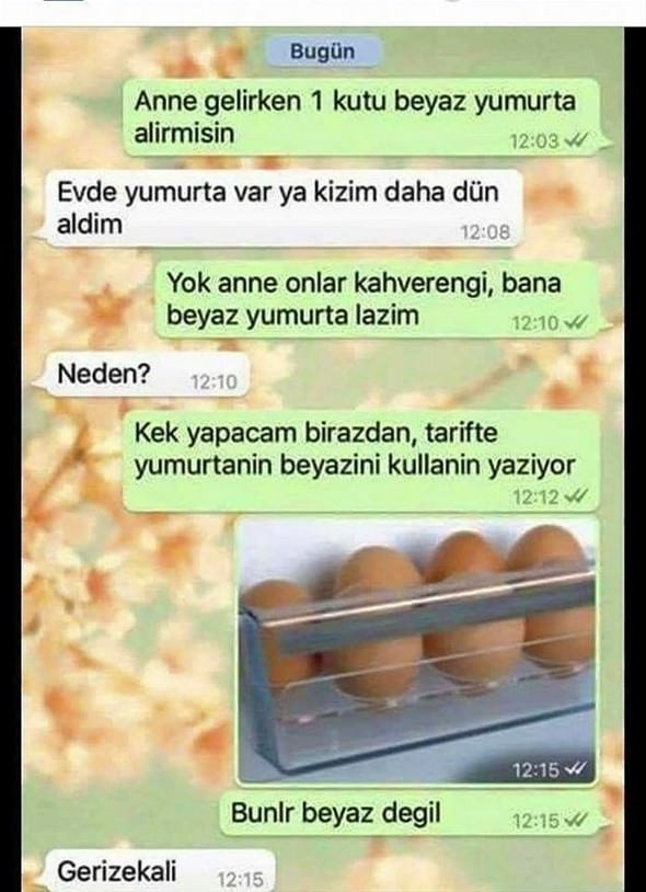 En komik WhatsApp mesajlaşmaları
