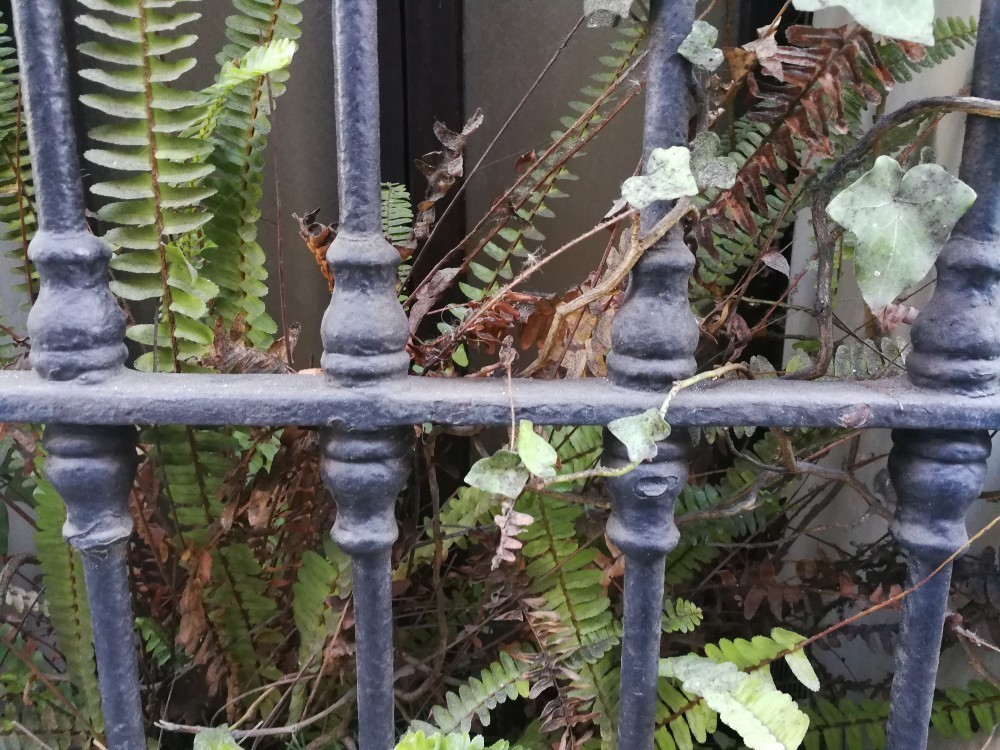 Huawei P10'un İlk Fotoğraf Örnekleri ile Barselona Sokaklarında Bir Tura Ne Dersiniz?