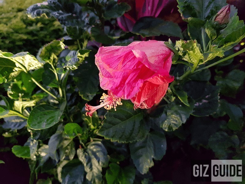 Galaxy S8'in kamerasıyla çekilen fotoğraflar