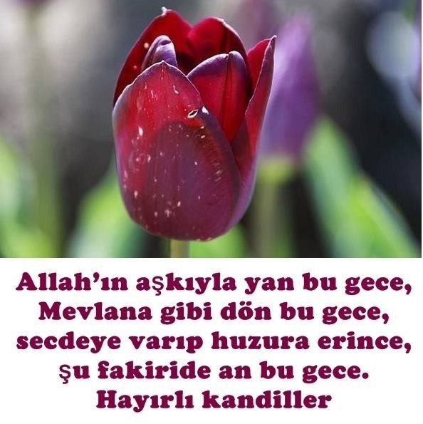 Berat Kandili ve Gecesi WhatsApp Resimli Mesajları