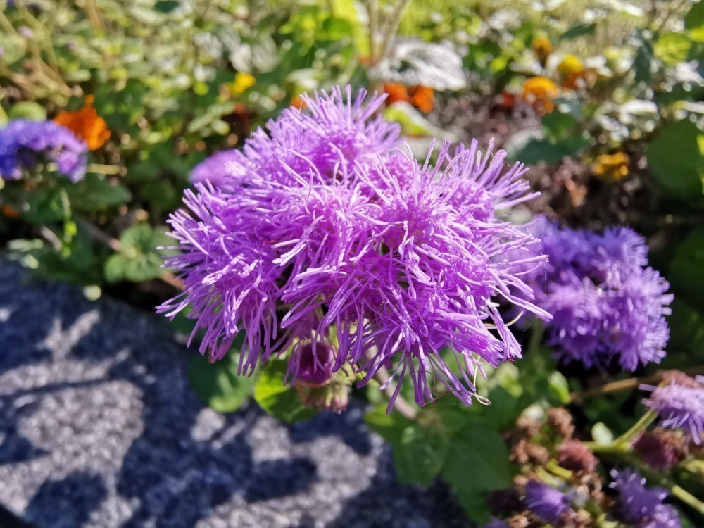 Huawei Mate 20 Pro Kamera Kalitesi İle Dikkat Çekiyor
