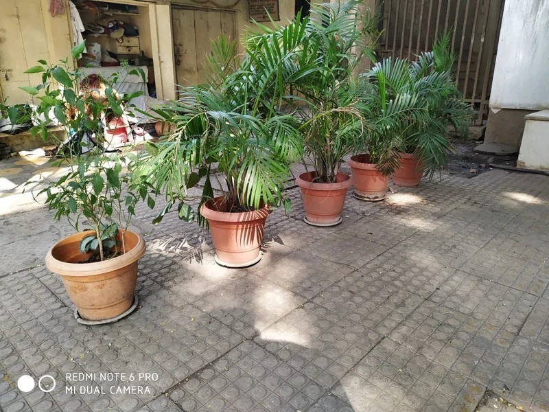 Xiaomi Redmi 6 Fotoğraf Örnekleri