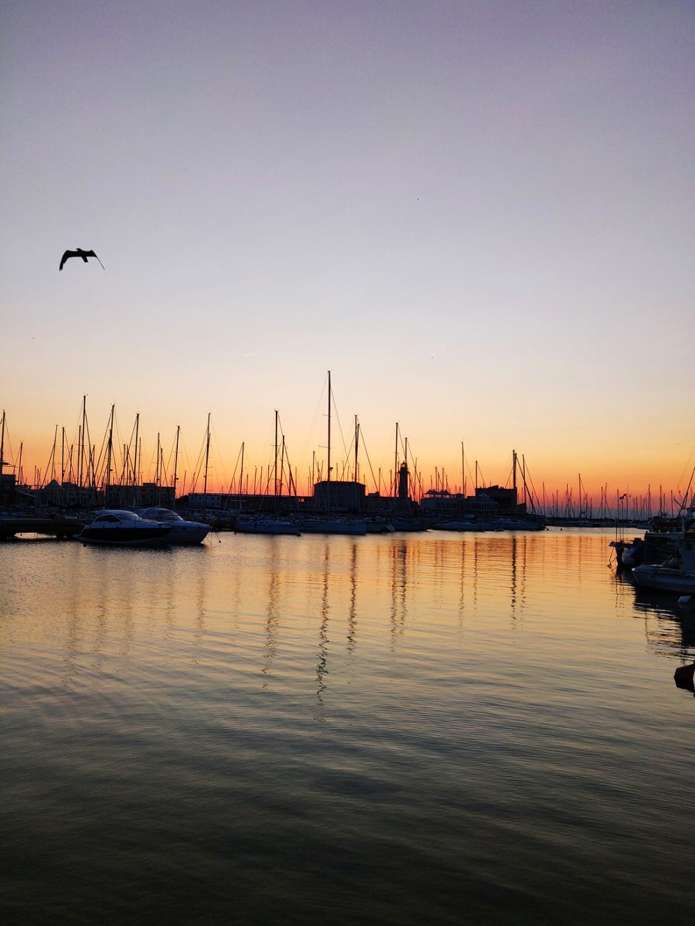 OnePlus 6T'nin Çift Kamerasından Çekilmiş Fotoğraflar