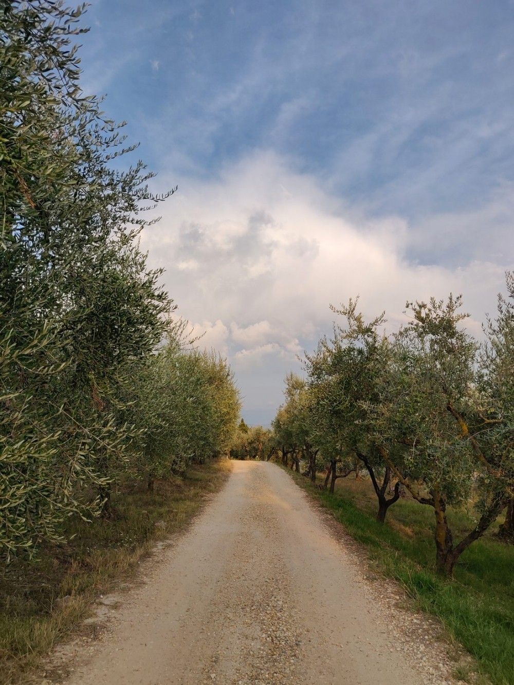 OnePlus 6T'nin Çift Kamerasından Çekilmiş Fotoğraflar