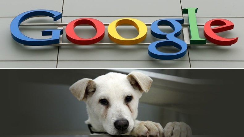 Son 20 yılda Google'da en çok aranan kelimeler