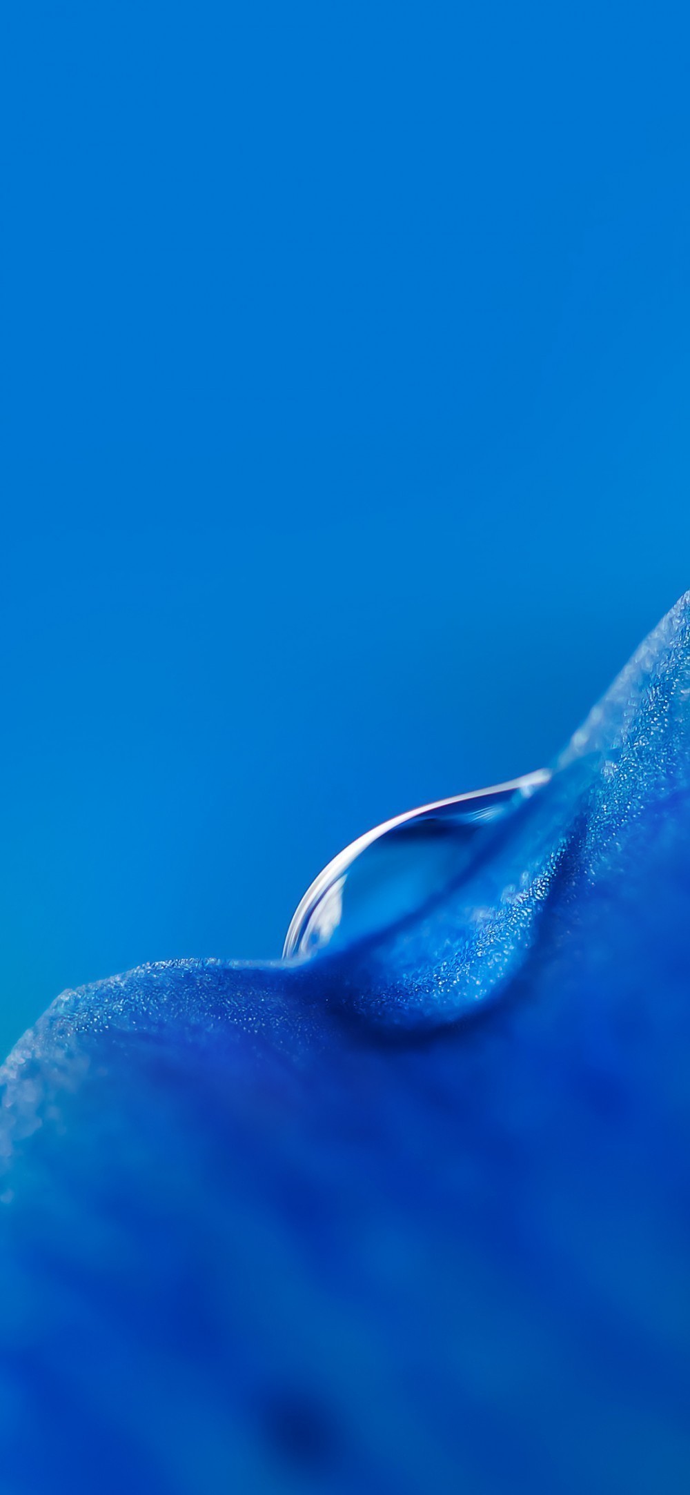 Xiaomi Mi 9 Duvar Kağıtları