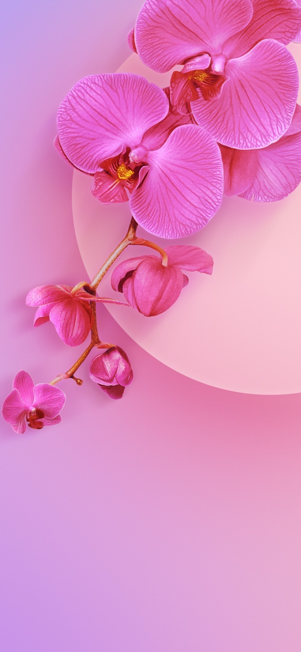 Xiaomi Mi 9 Duvar Kağıtları