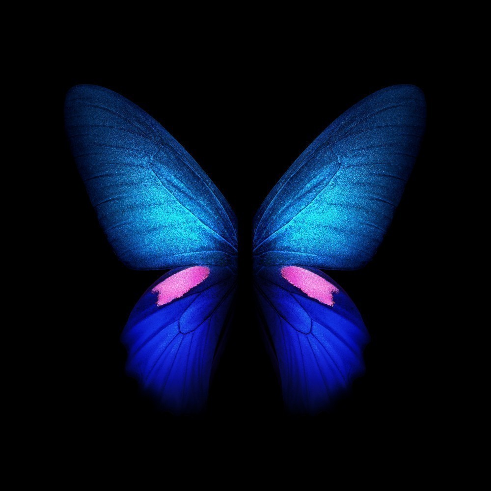 Samsung Galaxy Fold Duvar Kağıtları