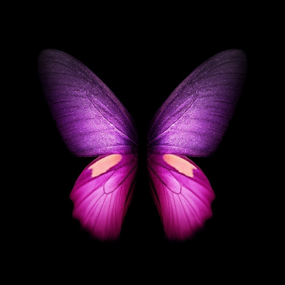 Samsung Galaxy Fold Duvar Kağıtları