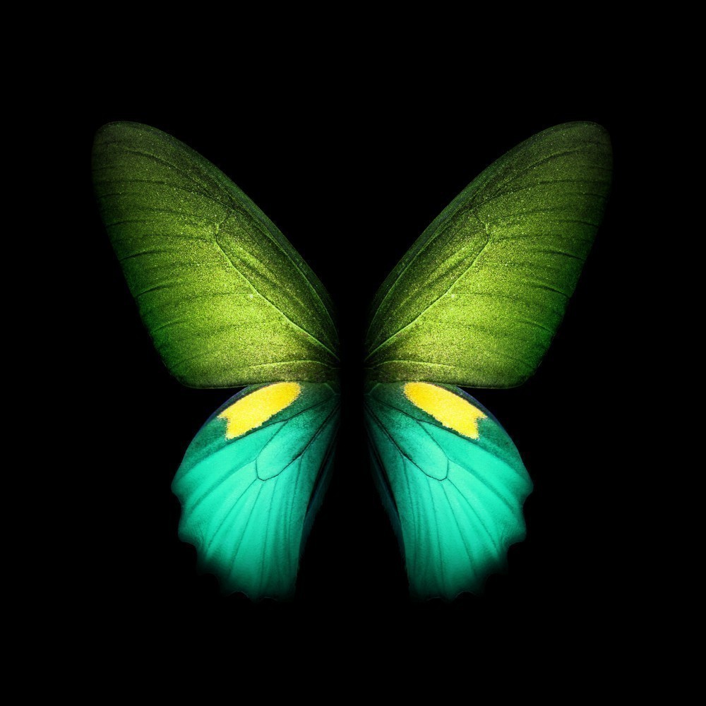Samsung Galaxy Fold Duvar Kağıtları