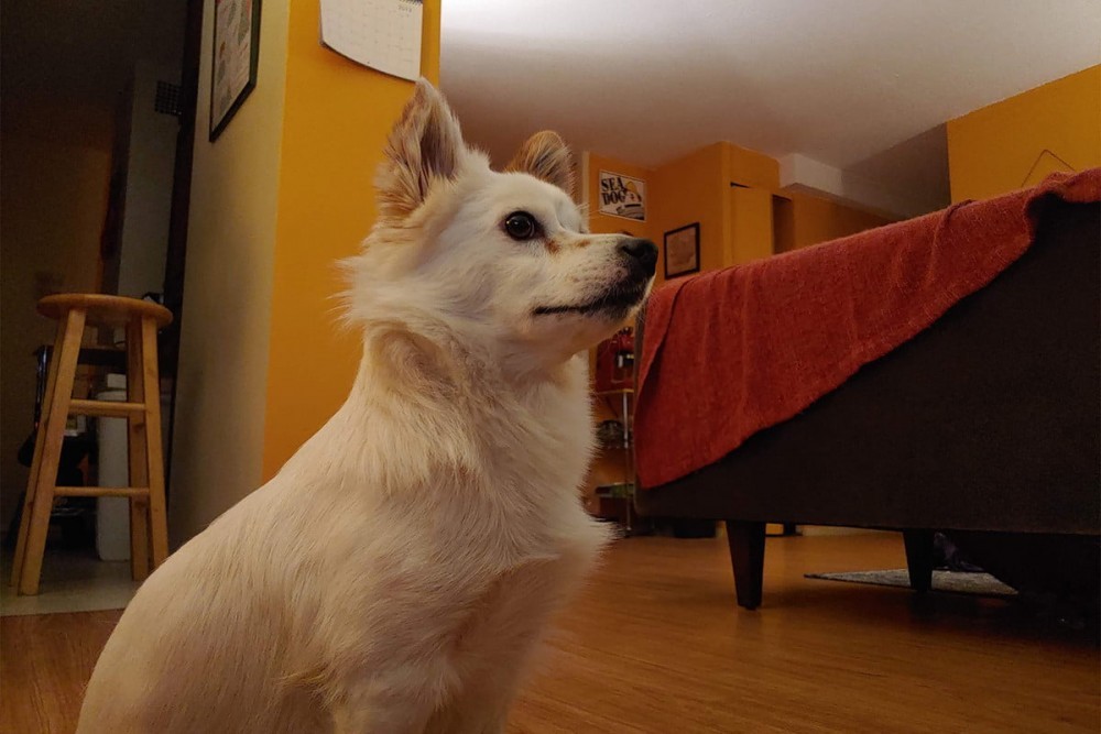 LG G8 ThinQ Fotoğraf Kalitesi