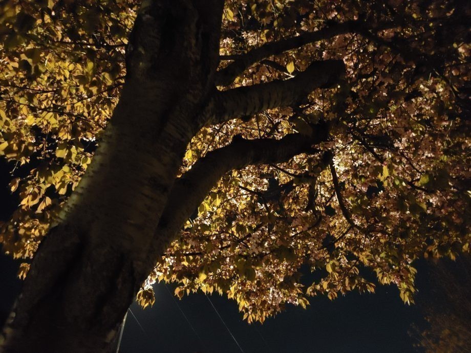 LG G8 ThinQ Fotoğraf Kalitesi