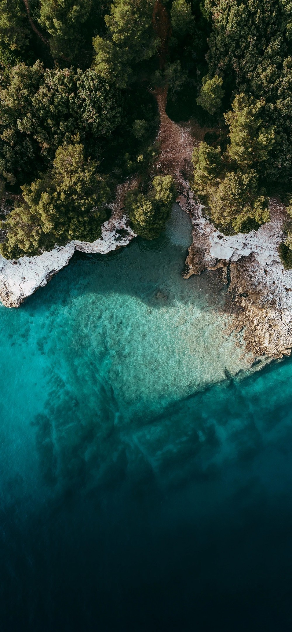 MIUI 12 Duvar Kağıtları