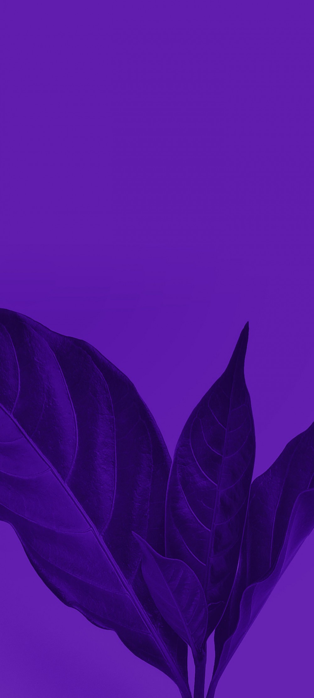 Meizu 18 Pro Duvar Kağıtları