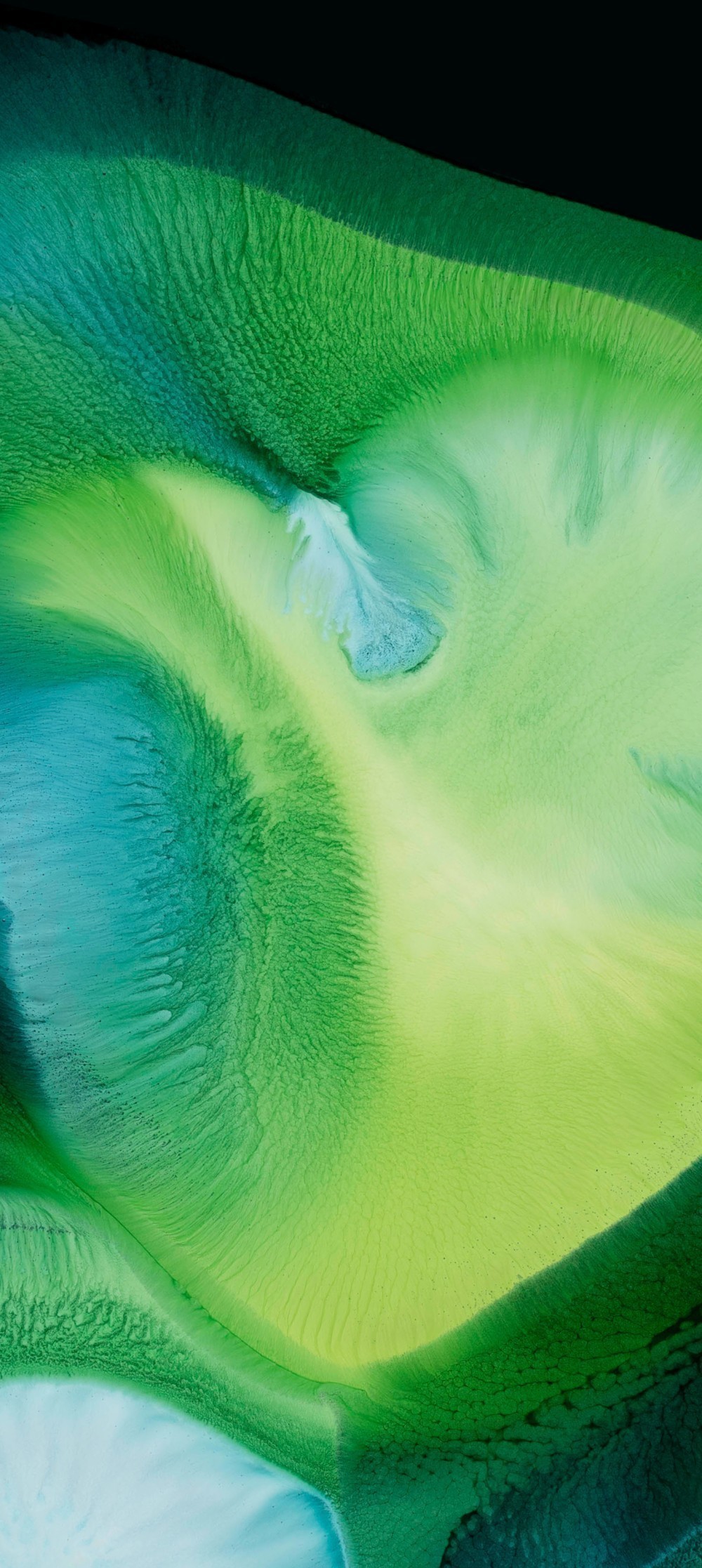 ColorOS 12 Yeni Duvar Kağıtları