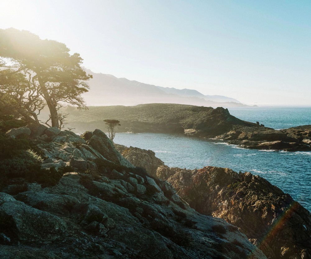 Google, Pixel cihazlar için yeni duvar kağıtları yayınladı