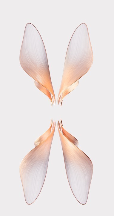 Oppo Find N2 Flip Duvar Kağıtları