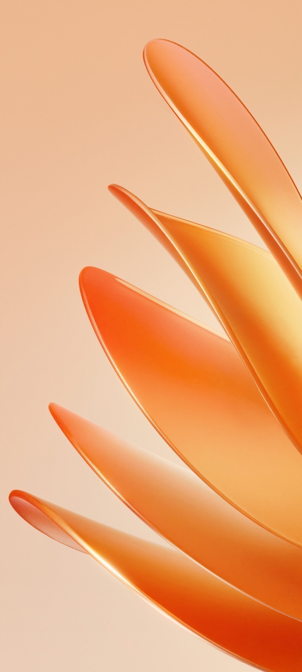 Meizu 20 Pro Duvar Kağıtları