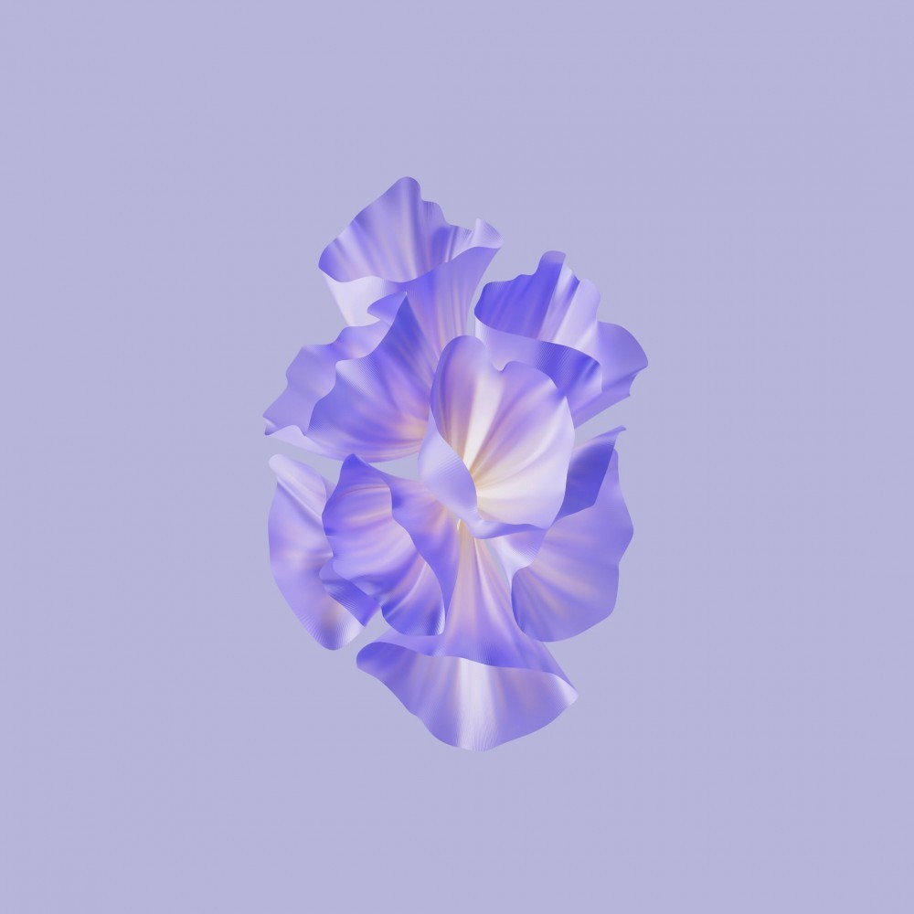 Honor Magic V2 Duvar Kağıtları