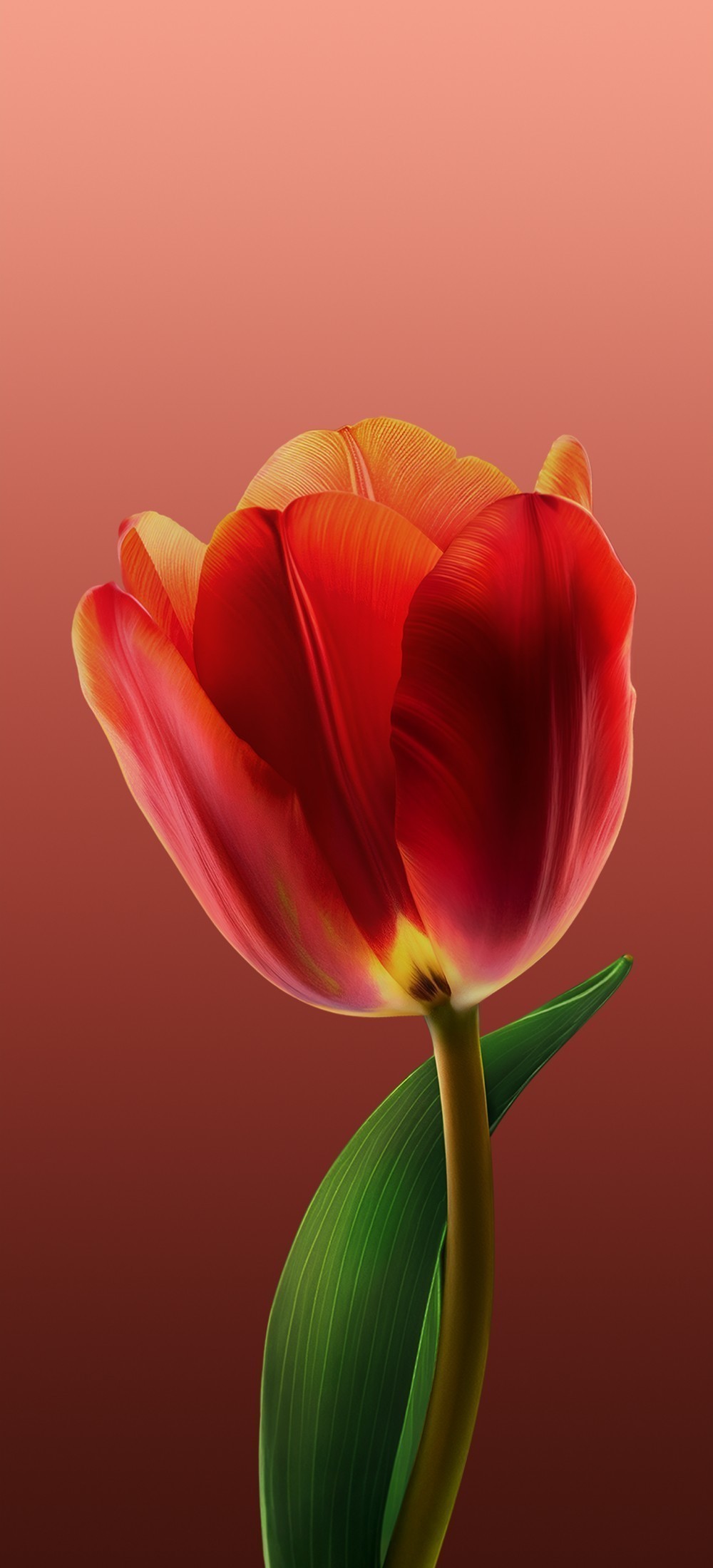 ColorOS 15 Duvar Kağıtları