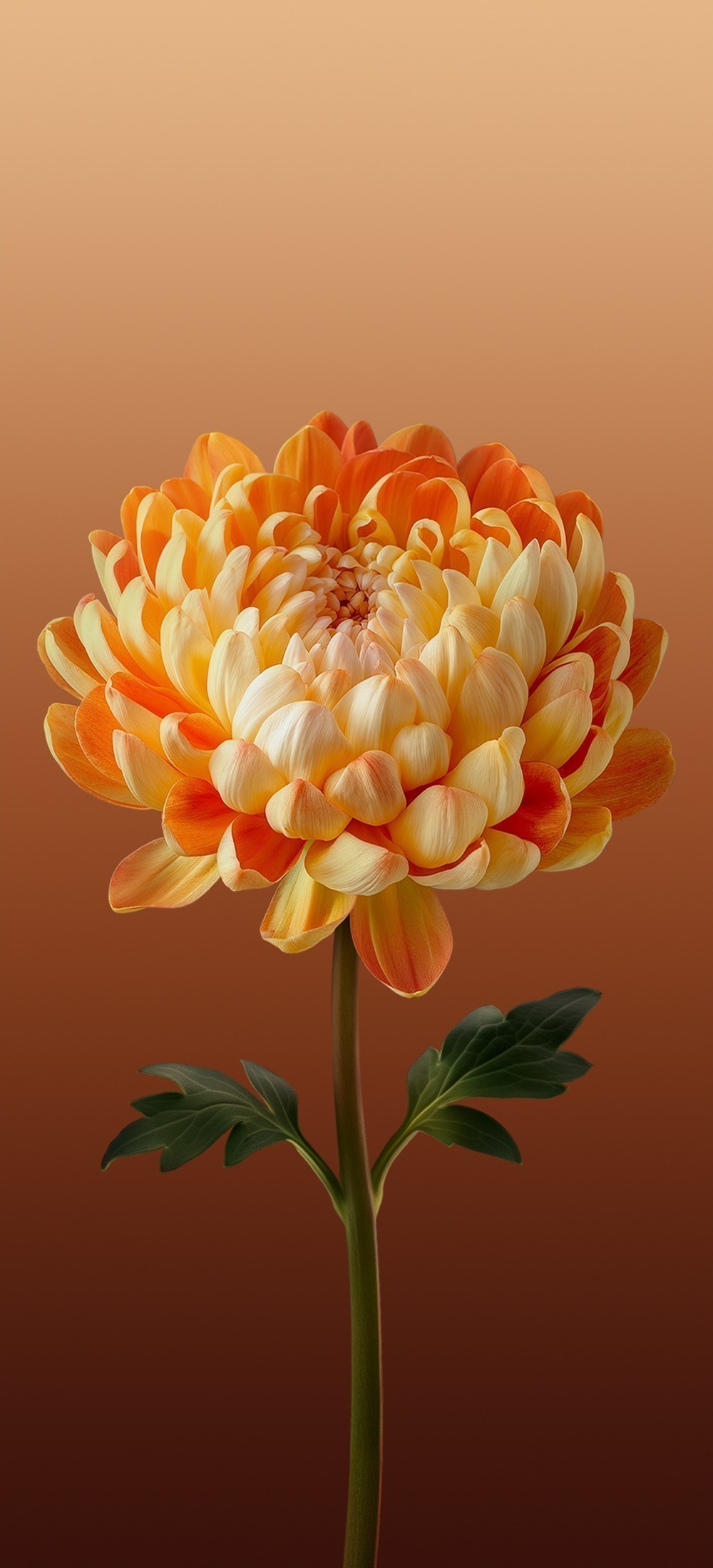 ColorOS 15 Duvar Kağıtları