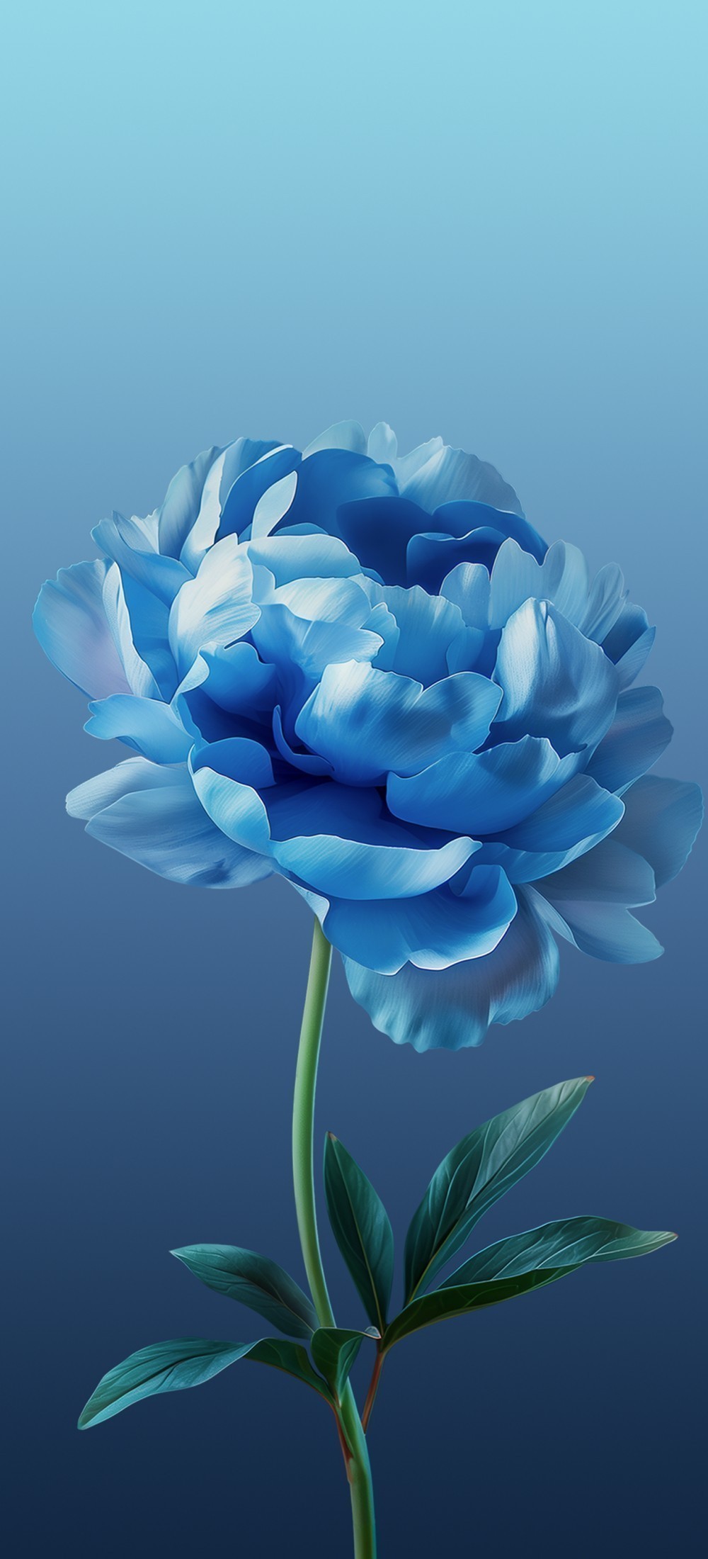 ColorOS 15 Duvar Kağıtları