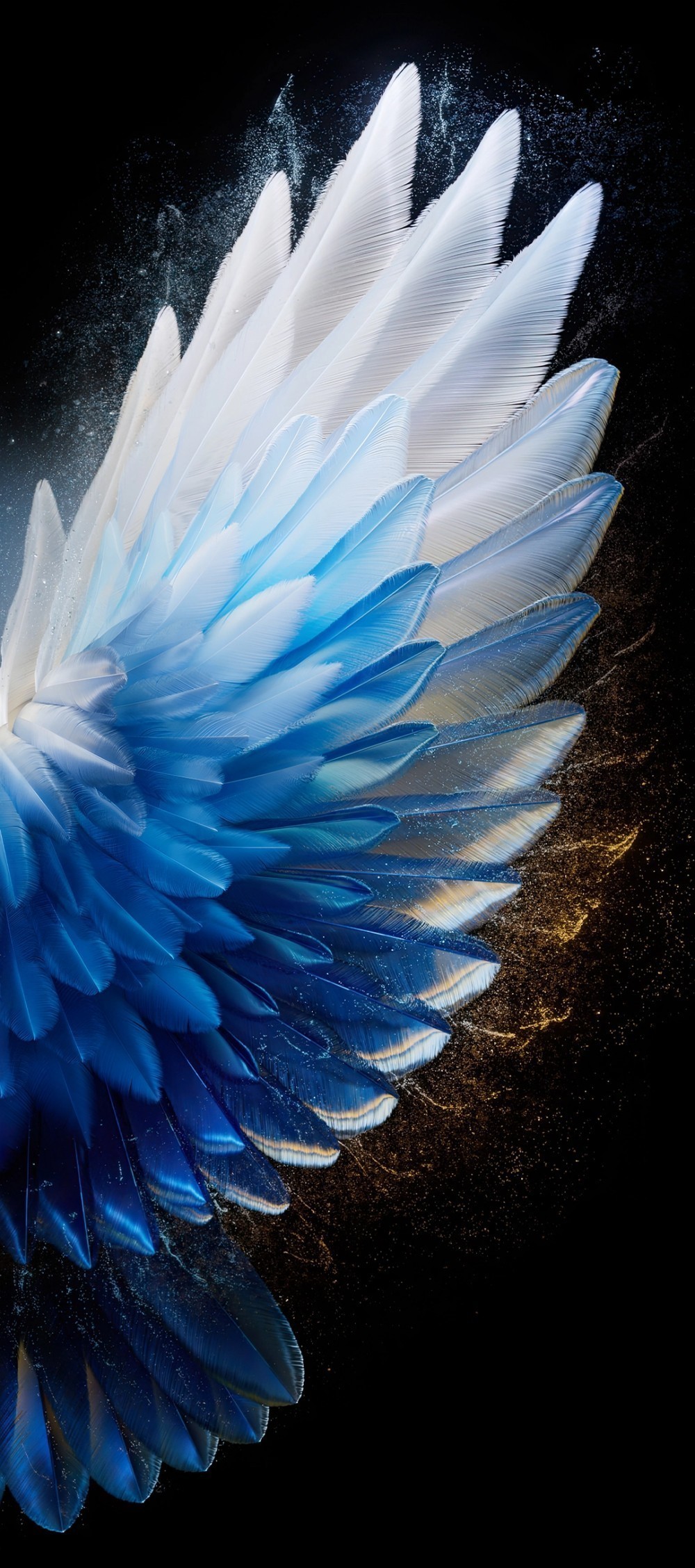 Tecno Camon 40 Pro Duvar Kağıtları
