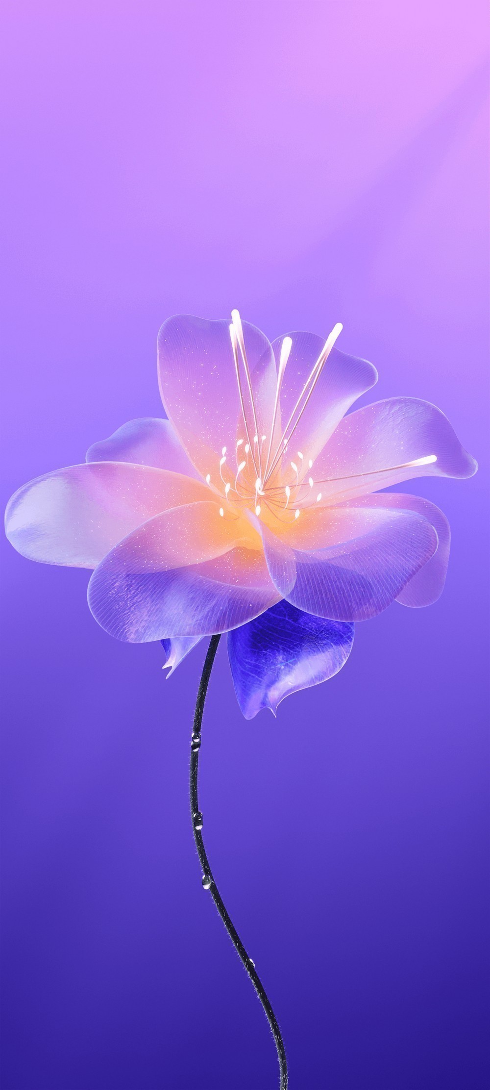 Meizu 22 Duvar Kağıtları