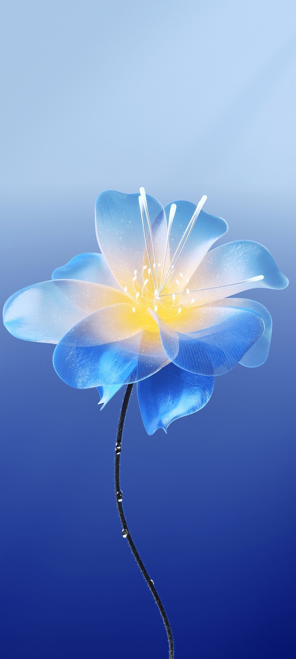 Meizu 22 Duvar Kağıtları