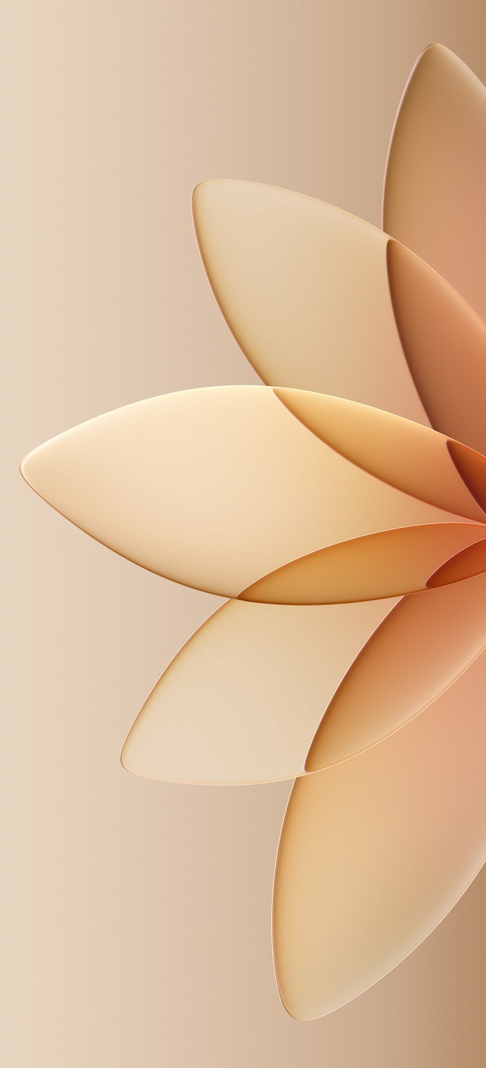 Oppo A6s Pro Duvar Kağıtları