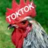 Ahtok