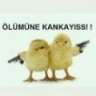rambo064