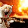 murat.41