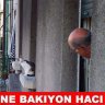 burky79
