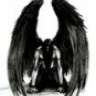 elele