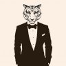 Mr.Tiger