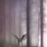_HuRRicAnE_