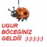 cizcik