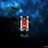 kubilay_60