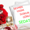 SEDAT BARAN