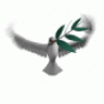 ilter25