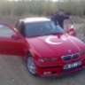talat0684