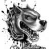 ahmetalp31