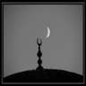 serkan_c