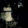 Fantome 86