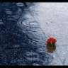 klashuso