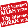 kelebek_48