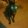 Mr. AnDRoiD